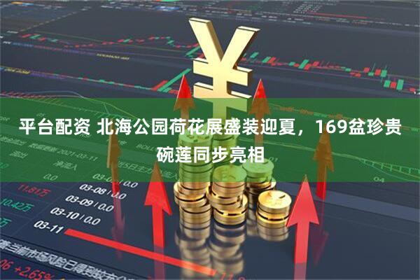 平台配资 北海公园荷花展盛装迎夏，169盆珍贵碗莲同步亮相